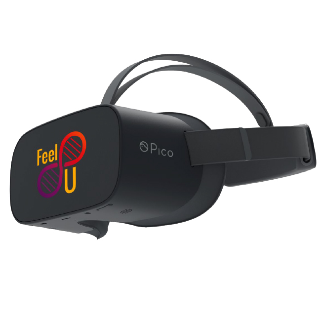 Casque de Réalité Virtuelle